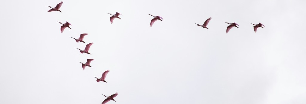 Refunding linked subscriptions